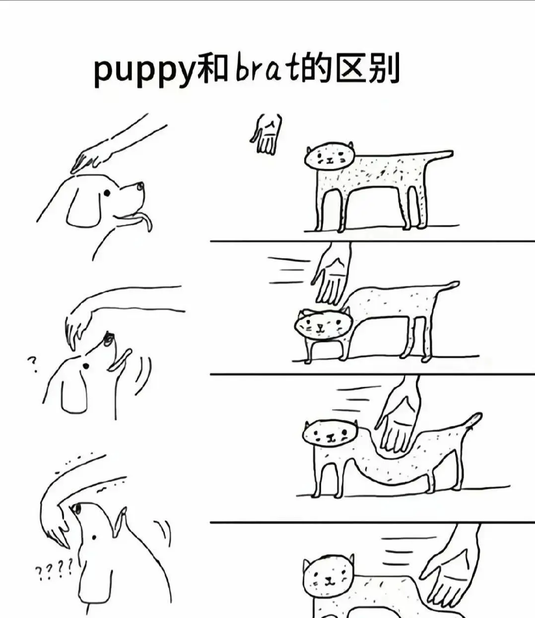西檬之家-字母圈K9犬系解析：新人入圈的属性指南