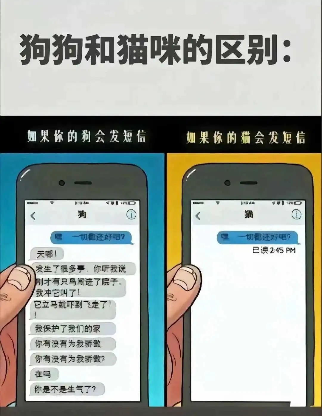 【西檬之家】新人入圈指南：字母圈与核心术语解析