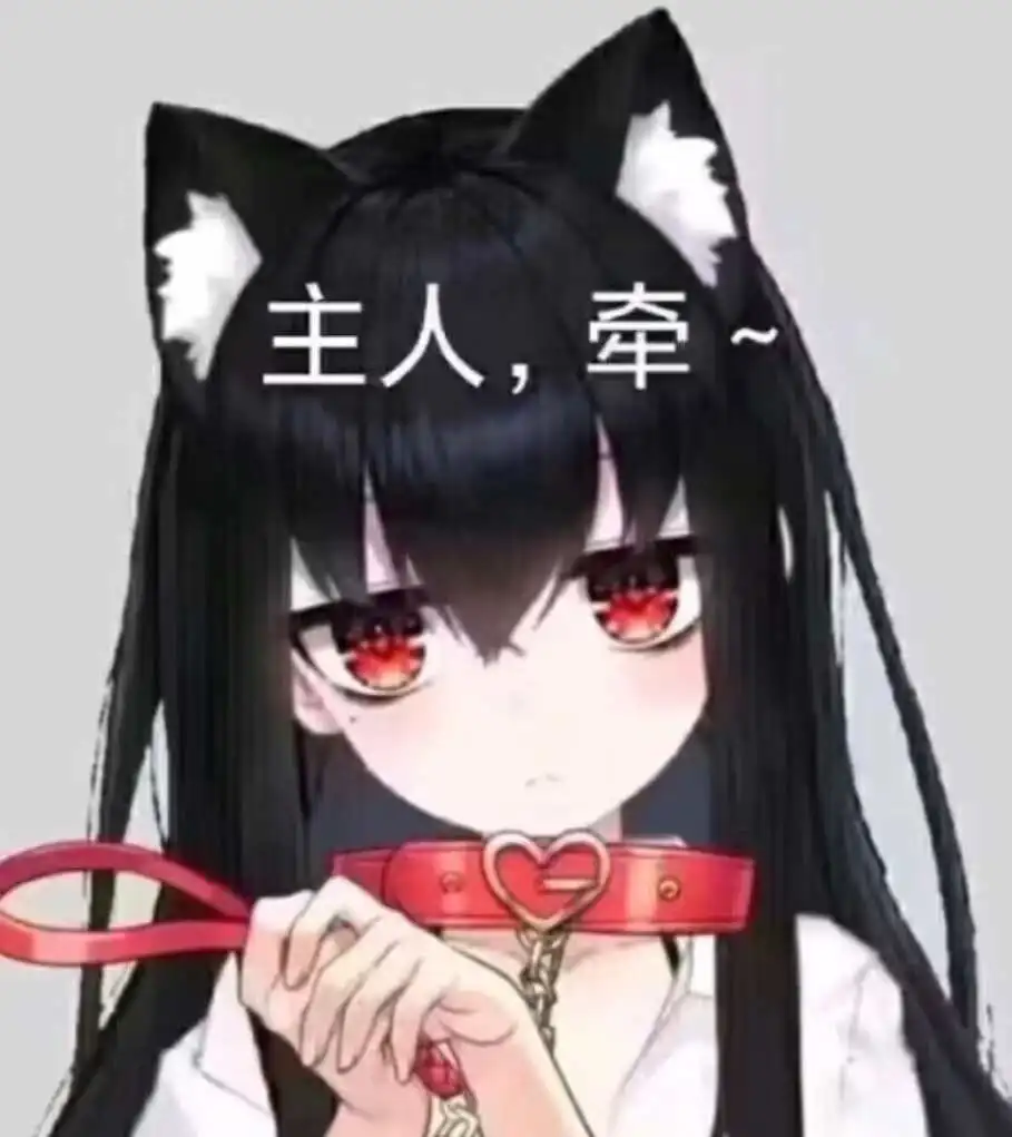 【西檬之家】k8猫系是什么？字母圈新人入圈指南