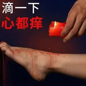 西檬之家-字母圈SM亚文化新人指南