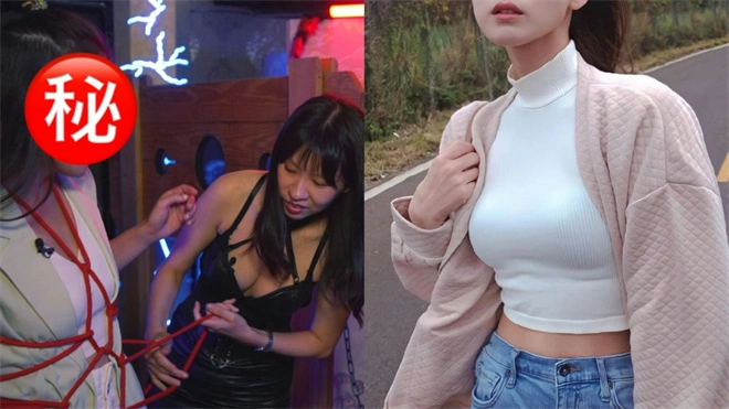 【西檬之家】K9是什么？解析字母圈犬类角色扮演与新人指南