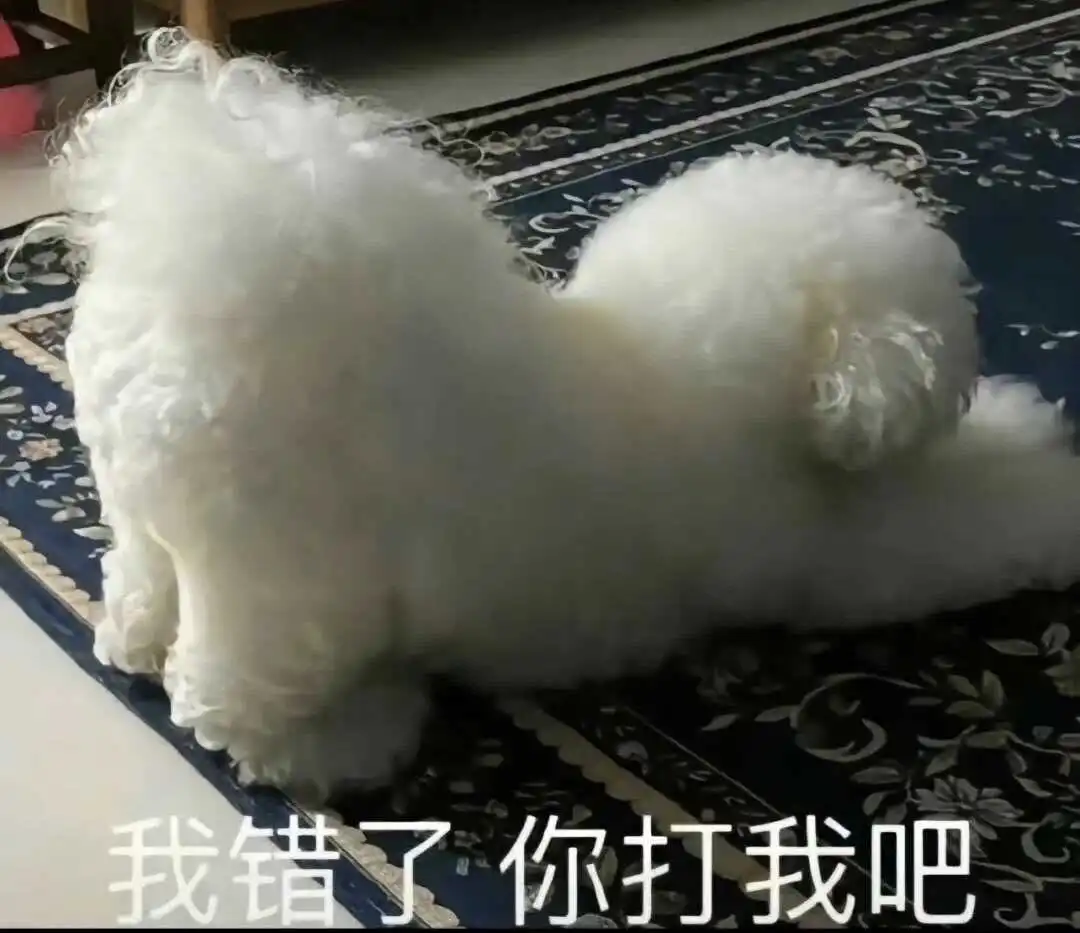 西檬之家-Brat属性是什么意思？