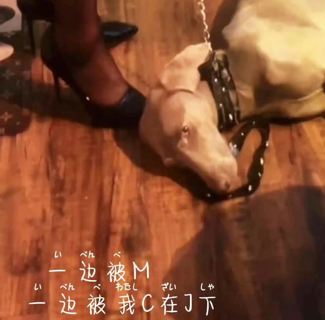 西檬之家-BDSM新人指南：Brat属性与SSC原则解析
