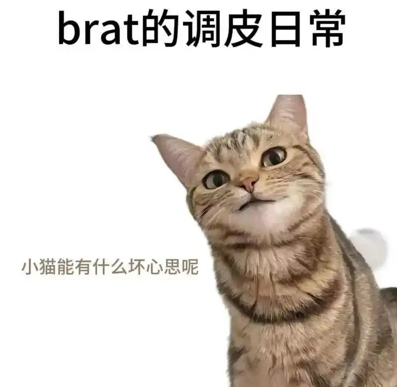 【西檬之家】新人入圈指南：恋爱与实践中的BDSM边界建立