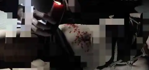 【西檬之家】BDSM新人入圈指南：如何理解DS关系与核心术语