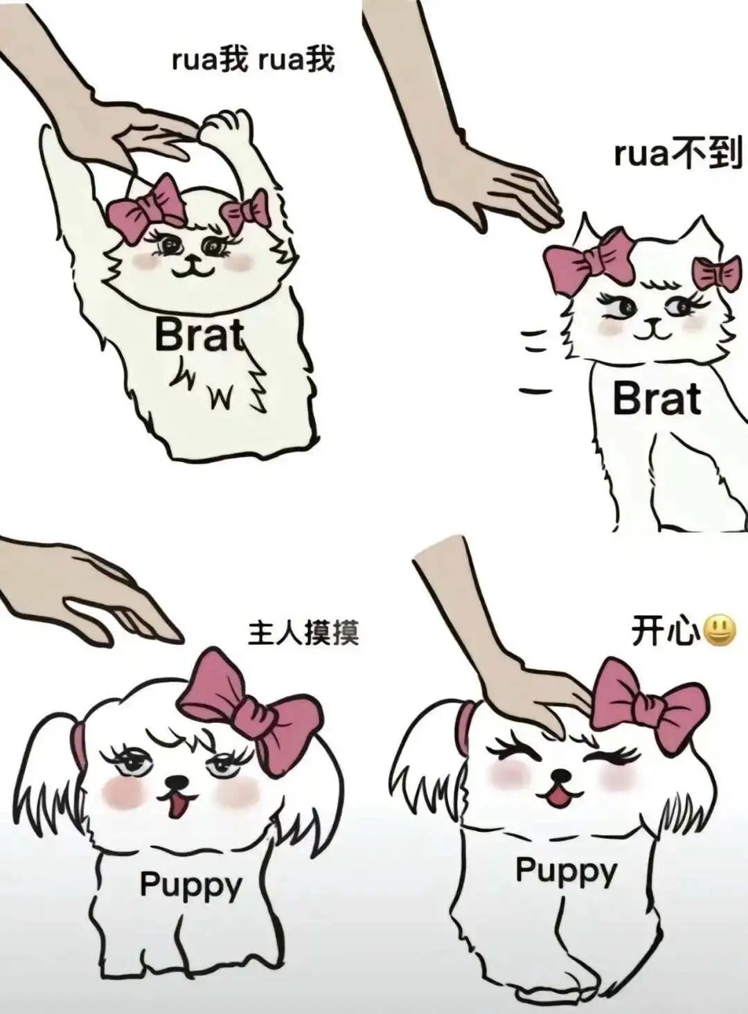 西檬之家-大圈入门指南