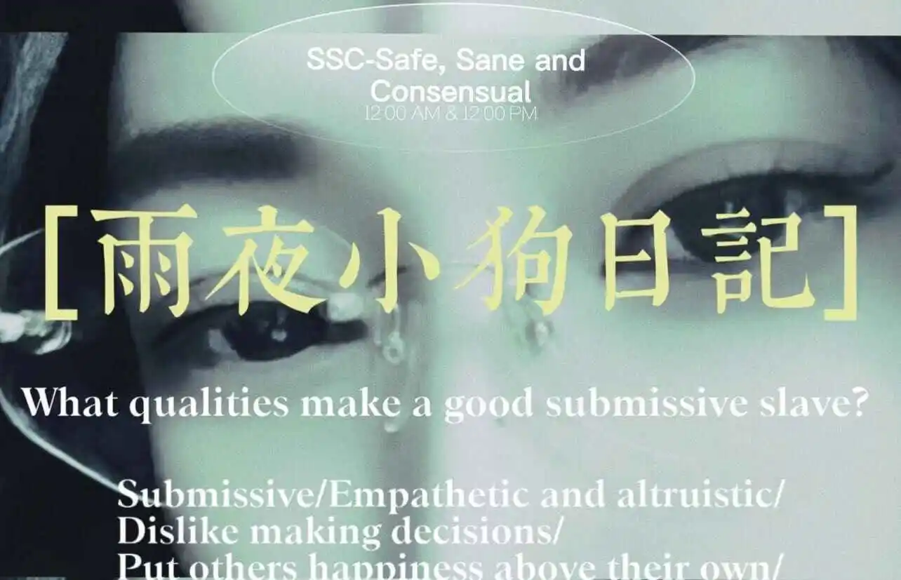 【西檬之家】DT是什么？字母圈新人必知的沟通艺术
