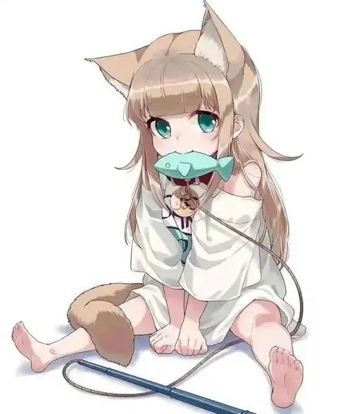 k8猫系：实用指南